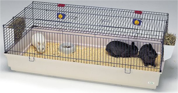 140 guinea pig cage